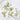 #color_mauve