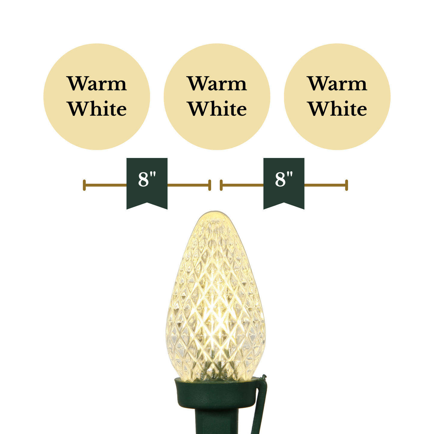 Vickerman 25 Count Commercial-Grade C7 LED Light Strand on Green Wire
