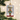 Old World Christmas Reindeer Mugshot Christmas Ornament