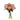 #color_dark-peach