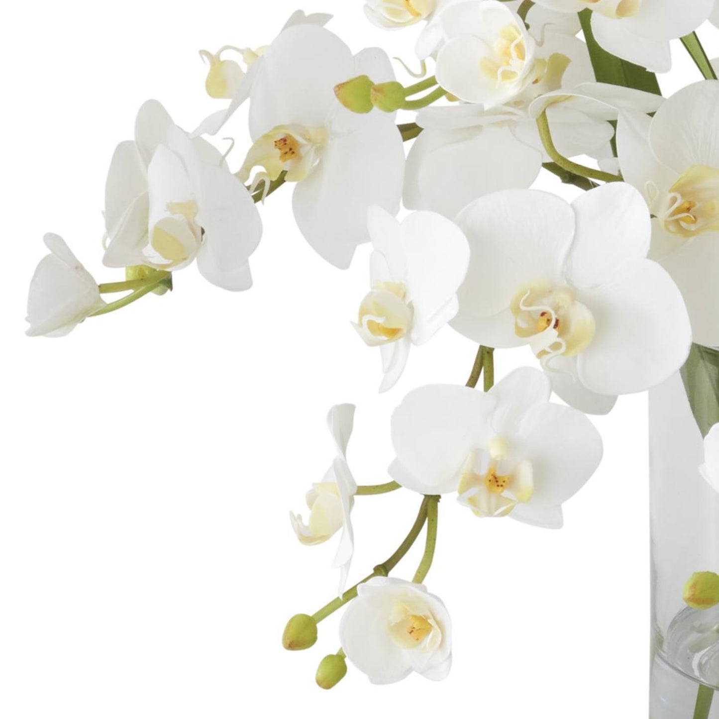 K&K Interiors 16" Real Touch White Orchid Flower Arrangement in Faux Water Glass Vase