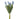 K&K Interiors 10.5" Blue Grape Hyacinth Spring Flowers - 6 Stem Bundle