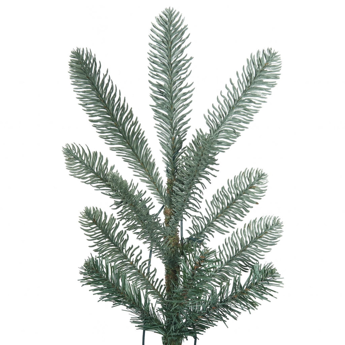 Green artificial Christmas tree branch on a white background