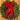 Balsam Fir 22" Fresh Wreath with Red Velvet Bow - 2 Pack