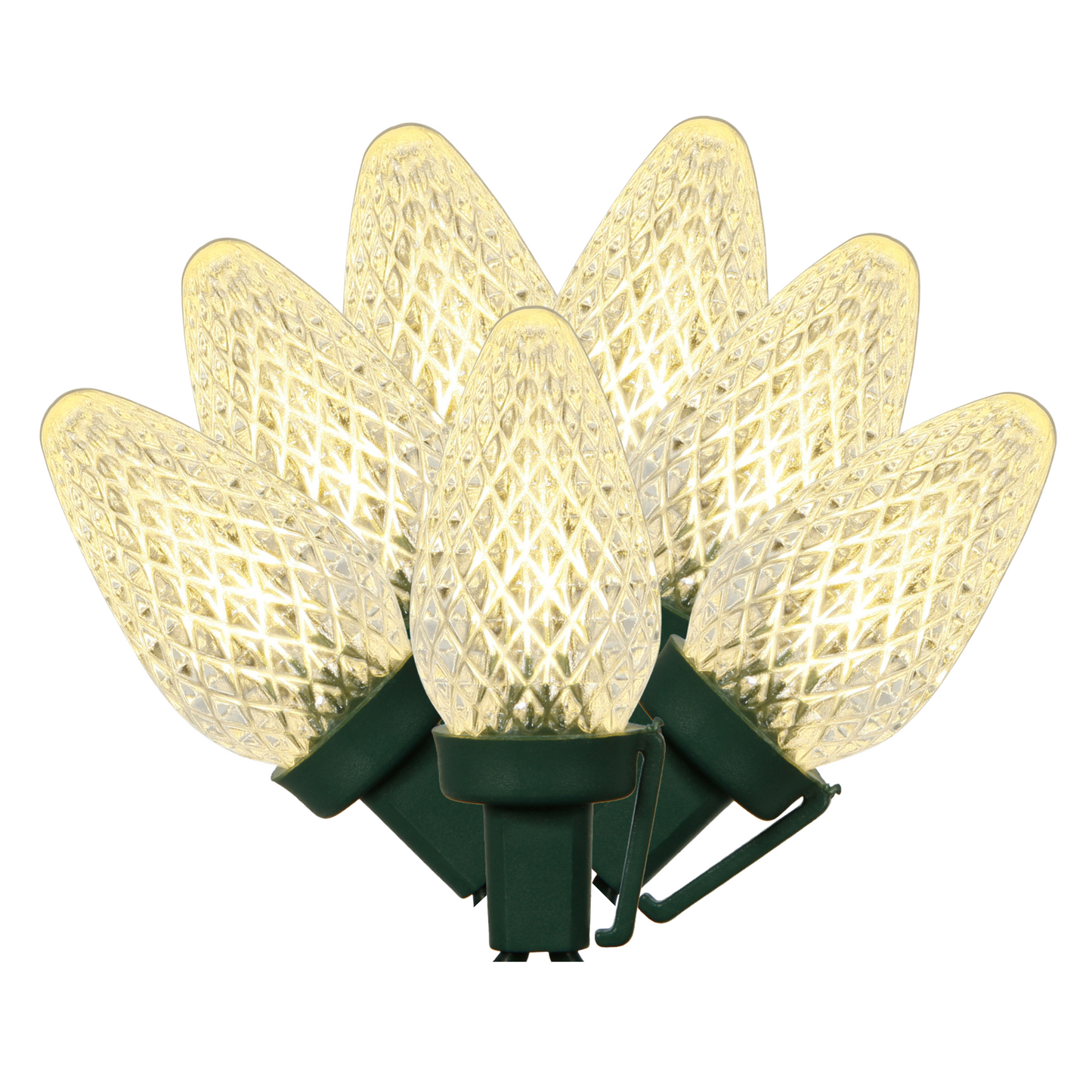 Vickerman 25 Warm White C7 LED Light on Green Wire, 16' Christmas Single Mold Light Strand