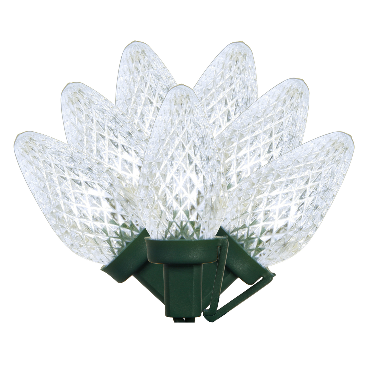 Vickerman 25 Count Commercial-Grade C7 LED Light Strand on Green Wire