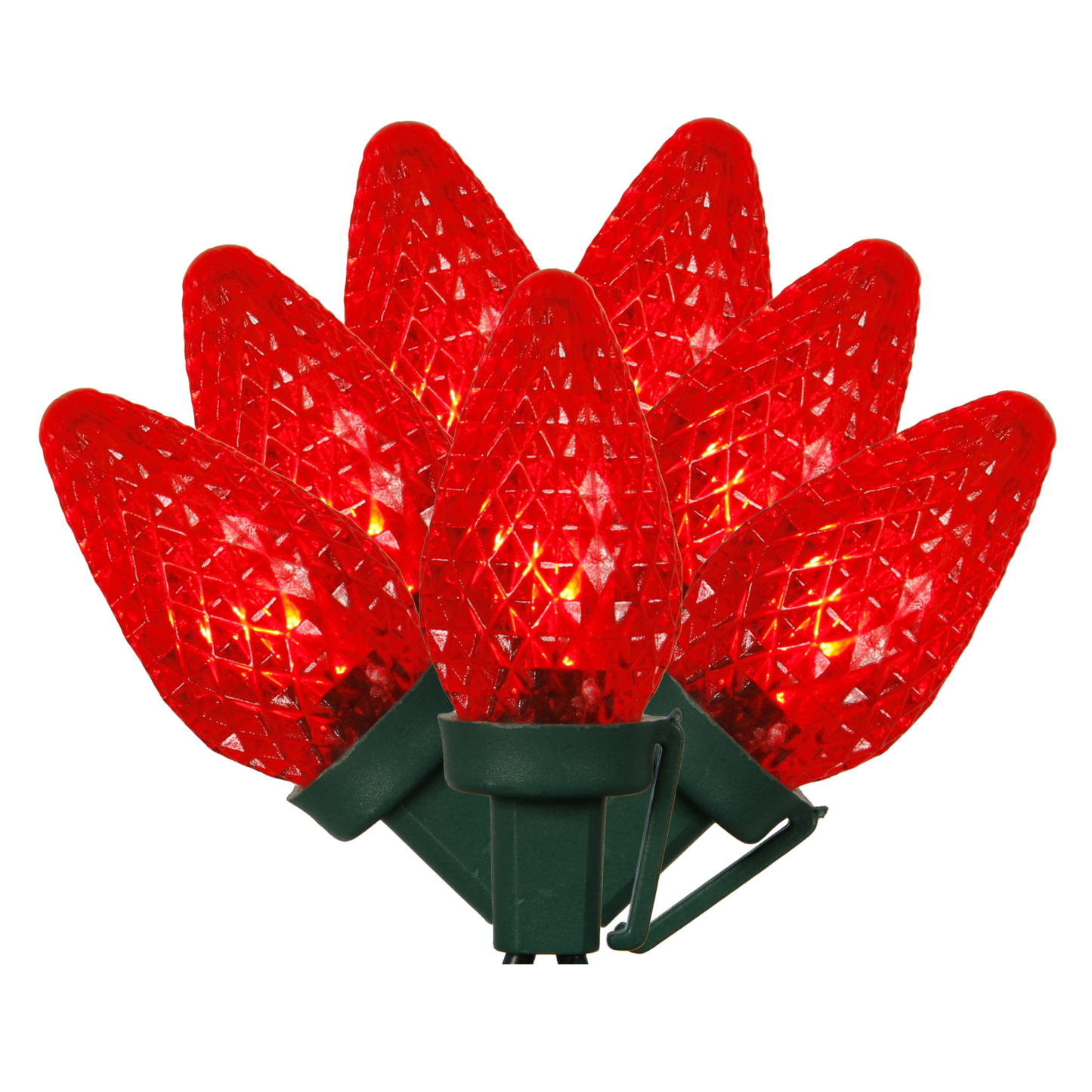 Vickerman 25 Count Commercial-Grade C7 LED Light Strand on Green Wire