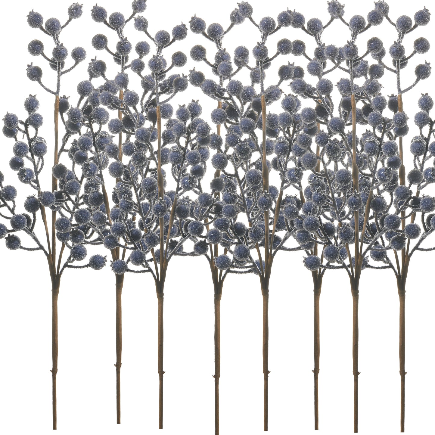 Set of decorative branches with blue berries on a white background