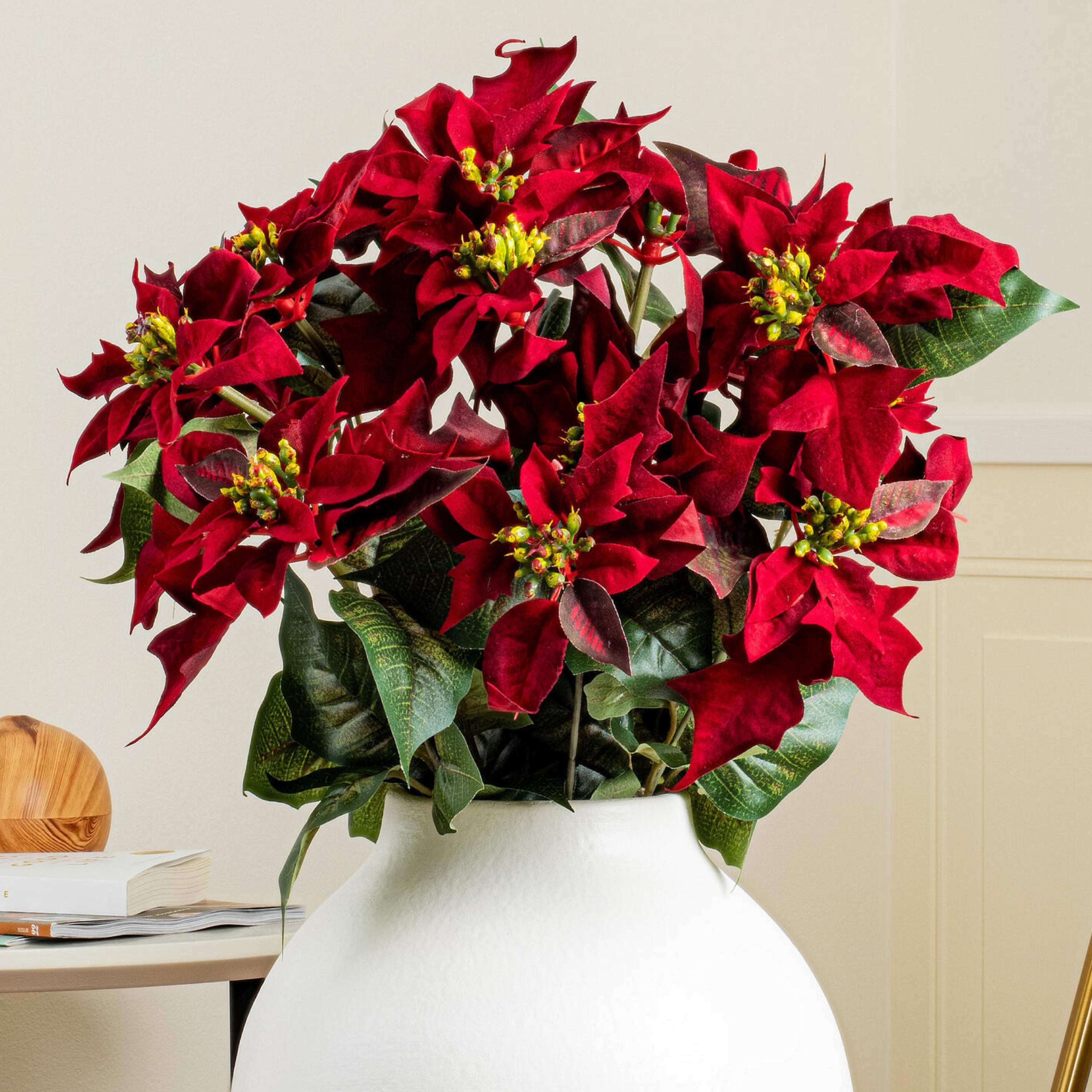 Bouquet of red poinsettias in a white vase on a neutral background