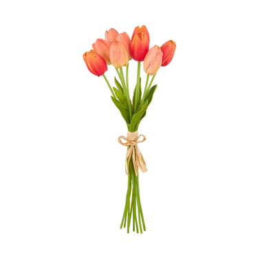 #color_coral-orange