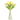 #color_light-yellow