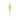 #color_light-yellow