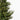 #lights_led-warm-white-mini-lights