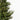 #lights_led-warm-white-mini-lights