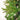 #lights_led-color-changing-and-warm-white-wide-angle-lights