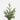 #lights_led-warm-white-mini-lights
