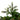 #lights_led-warm-white-mini-lights