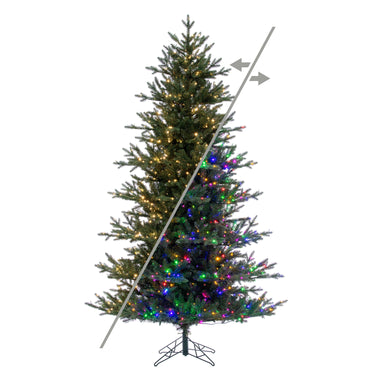 Color Changing Options #lights_led-color-changing-and-warm-white-wide-angle-lights