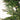 #lights_led-warm-white-wide-angle-lights