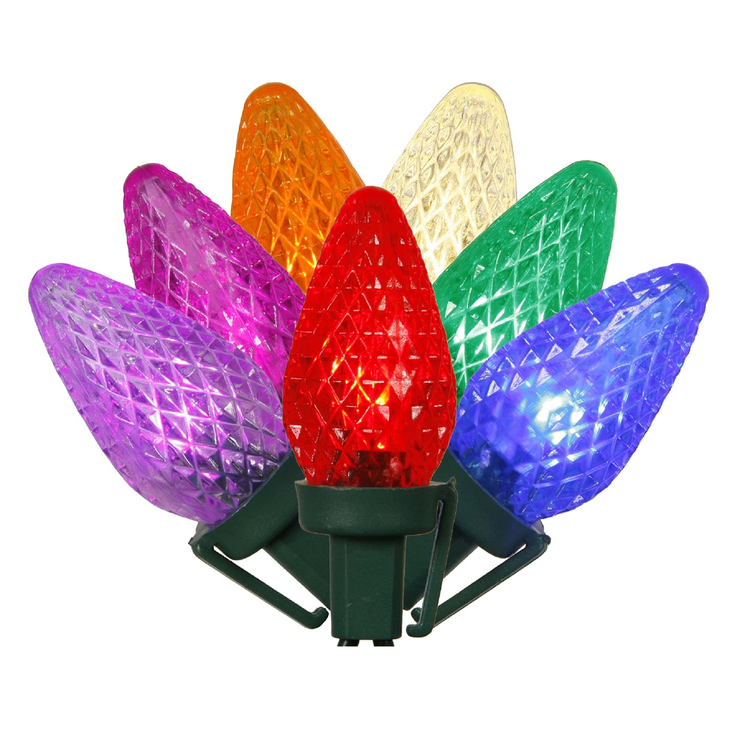 Vickerman 25 Count Commercial-Grade C7 LED Light Strand on Green Wire
