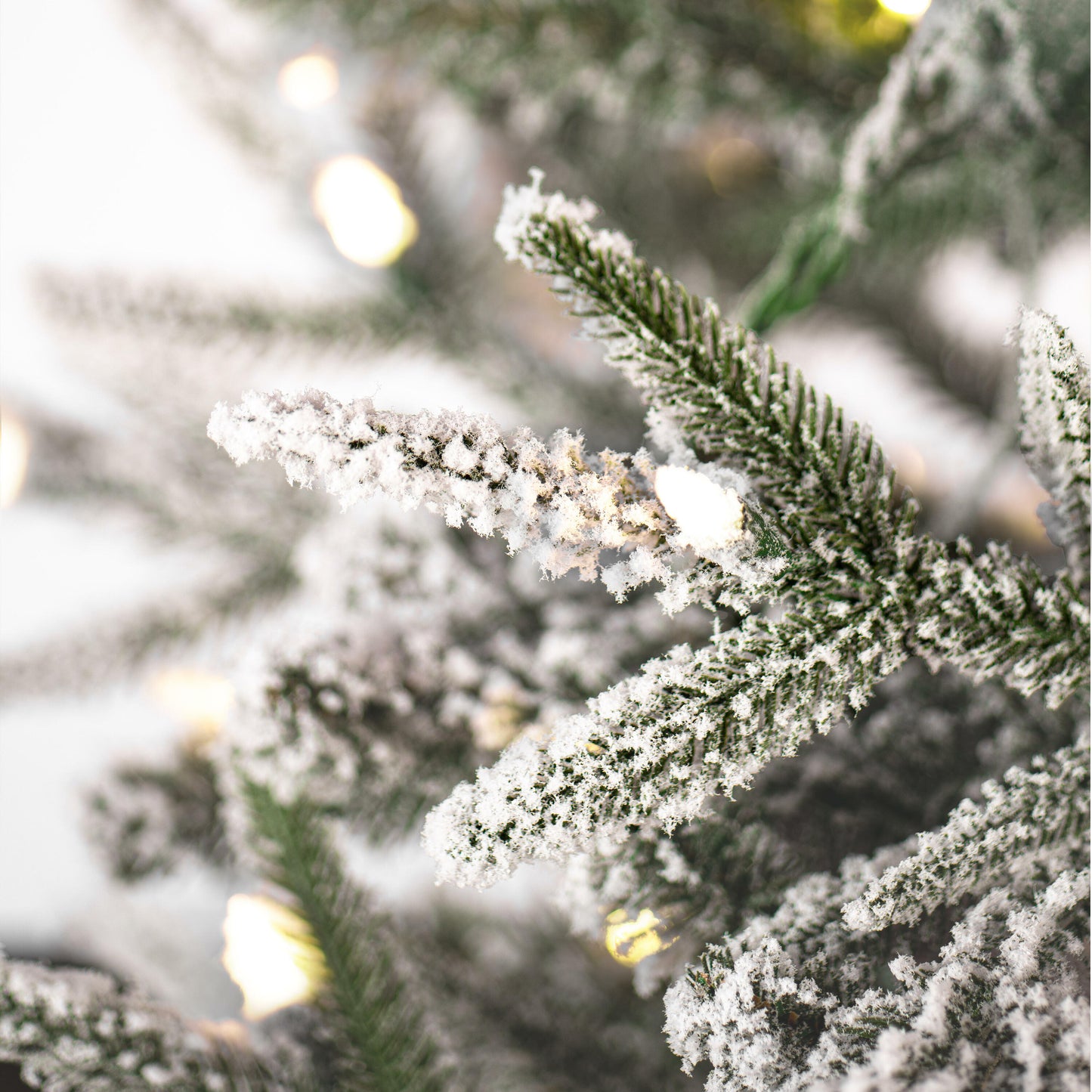 Frosted Tacoma Fraser Fir Pencil Artificial Christmas Trees