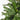 #lights_led-warm-white-mini-lights