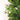 #lights_led-warm-white-mini-lights