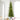 #lights_led-warm-white-mini-lights
