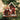 Old World Christmas Book Store Christmas Ornament