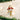 Old World Christmas Dalmatian Pup Christmas Ornament