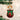 Old World Christmas Letting The Cat Out Of Bag Christmas Ornament