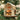Old World Christmas Santa's Reindeer Barn Christmas Ornament