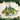 Old World Christmas Triceratops Christmas Ornament