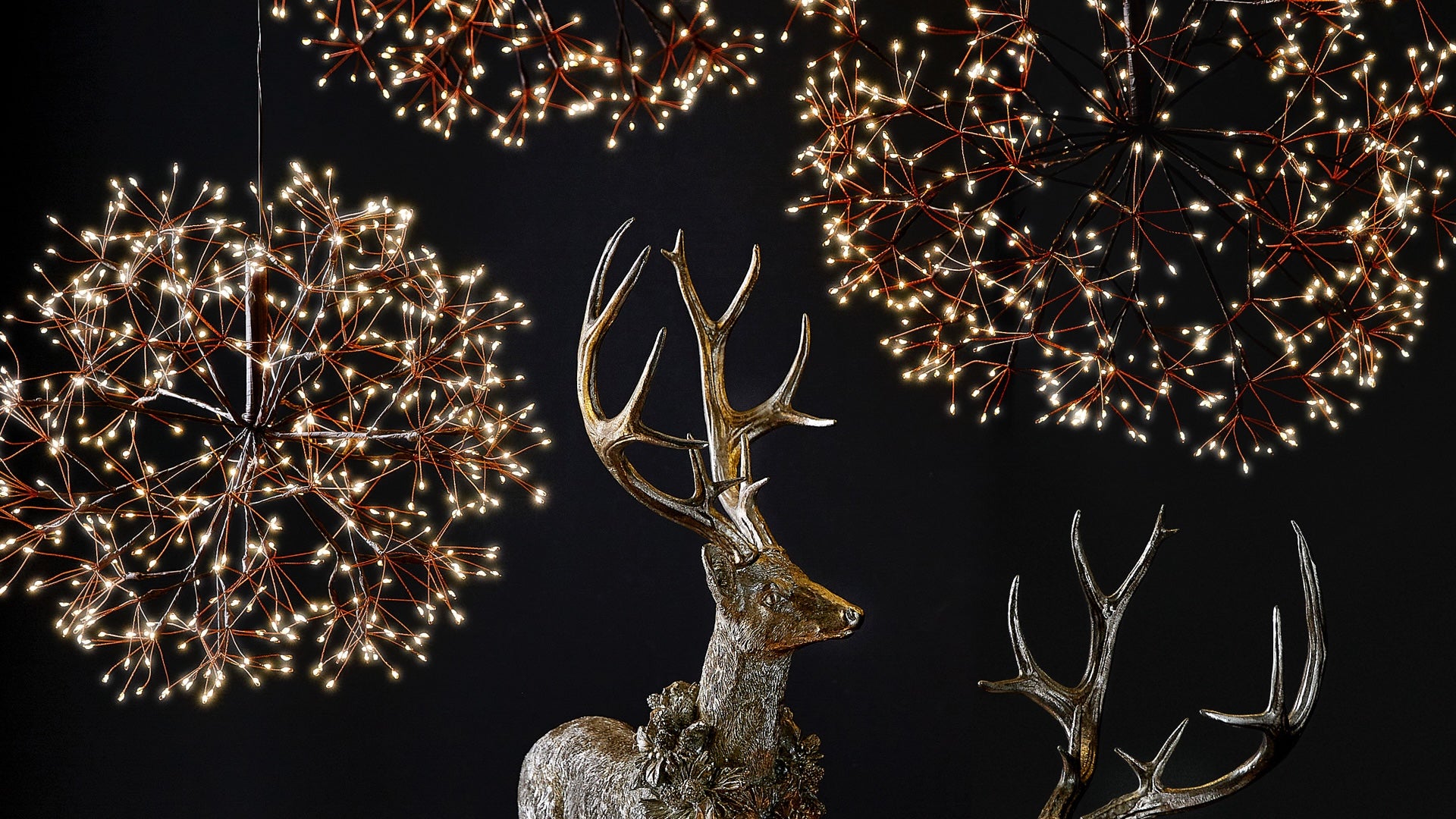 Discover Lighted Starbursts by RAZ Imports