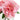 Blush Pink Peony Bloom #color_blush-pink
