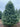 Real Christmas Trees Delivered 9 Foot Premium Balsam Fir Christmas Tree