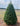 Real Christmas Trees Delivered Douglas Fir