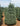 Real Christmas Trees Delivered Noble Fir