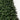 #lights_led-warm-white-mini-lights