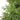 #lights_led-warm-white-mini-lights
