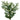 #lights_led-warm-white-mini-lights