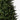 #lights_led-warm-white-mini-lights
