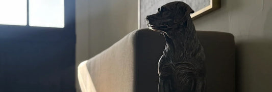 Father's Day Gift Idea: A Dog Is A Man's Best Friend