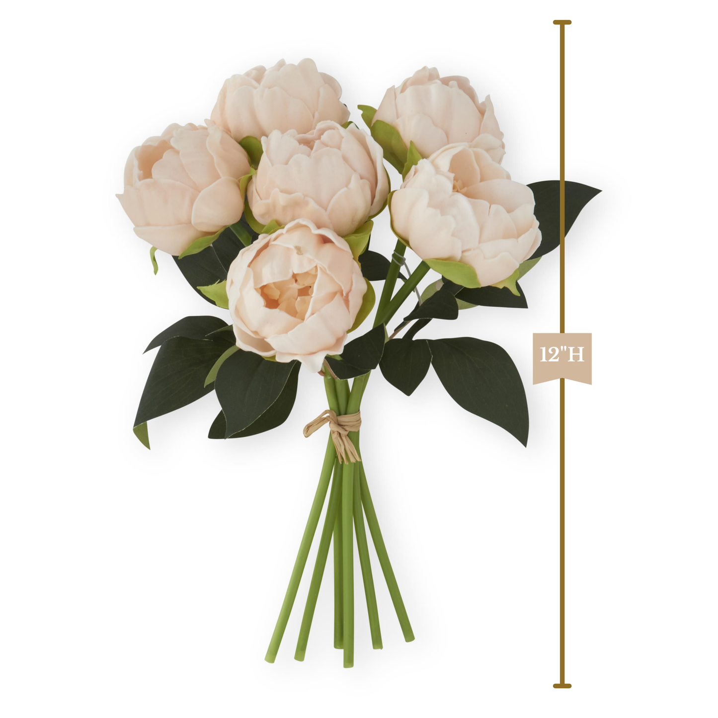 K&K Interiors 12" Real Touch Peony Blooming Spring Flowers - 6 Stem Bundles
