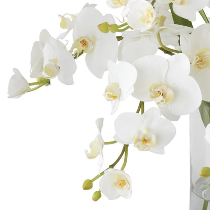 K&K Interiors 16" Real Touch White Orchid Flower Arrangement in Faux Water Glass Vase