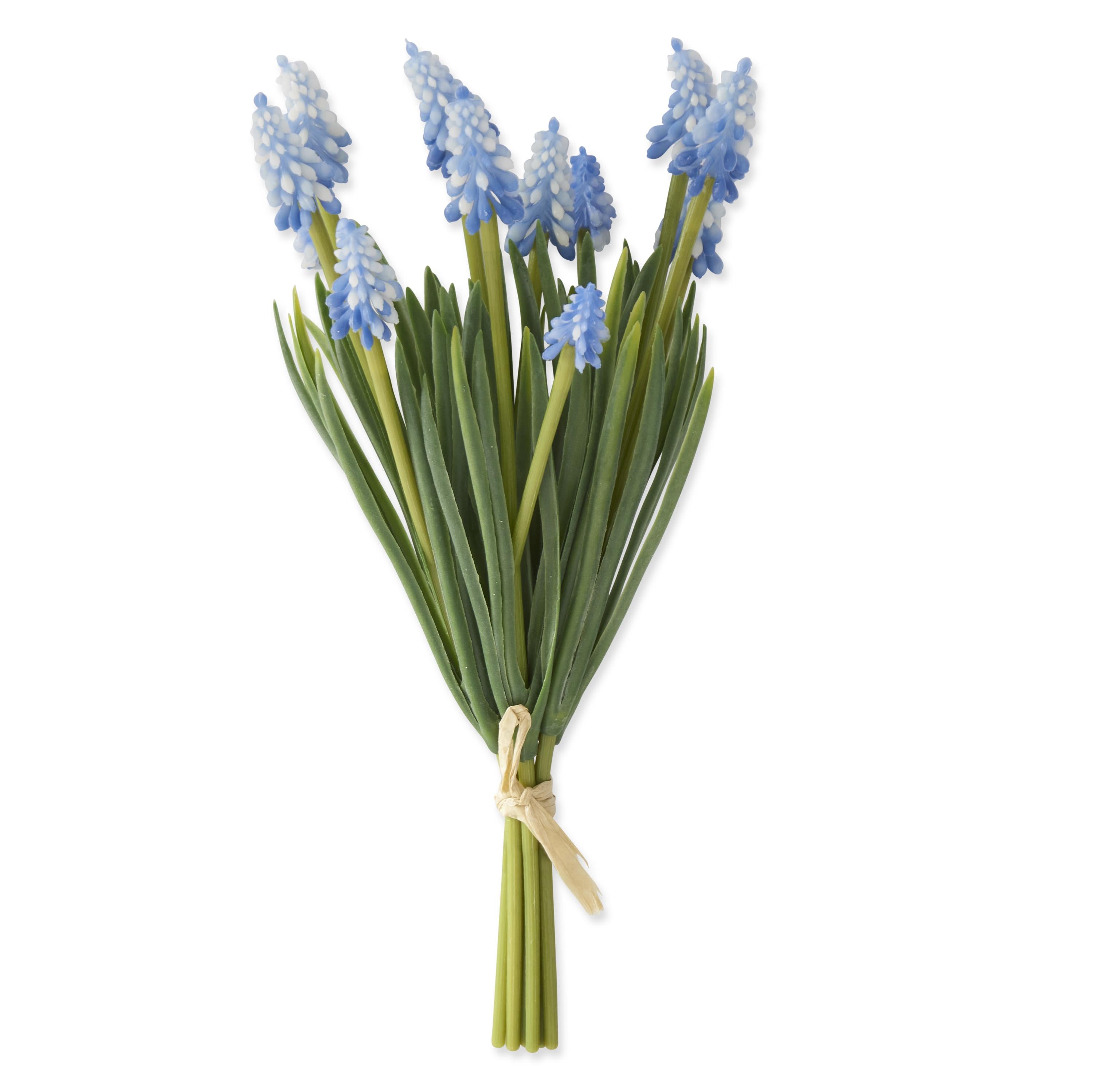 K&K Interiors 10.5" Blue Grape Hyacinth Spring Flowers - 6 Stem Bundle