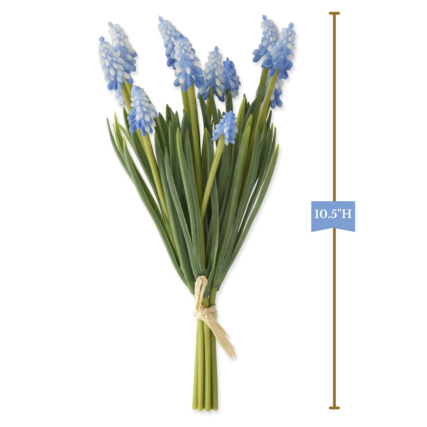 K&K Interiors 10.5" Blue Grape Hyacinth Spring Flowers - 6 Stem Bundle