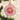 Old World Christmas Peony Christmas Ornament
