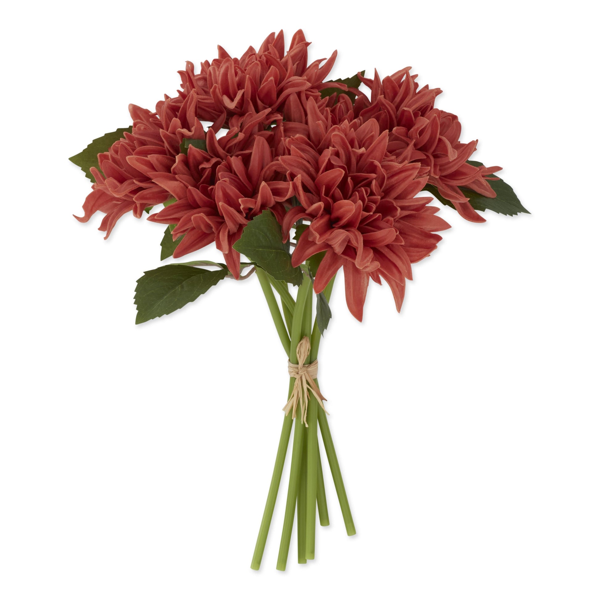 Bouquet of red flowers with green stems on a white background