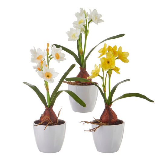 RAZ Imports 9.5" Mini Spring Real Touch Potted Daffodil Flowers, Set of 3